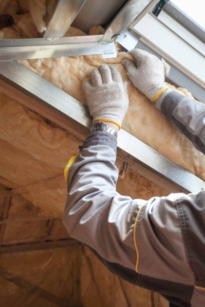 Best Residential Insulation in La Homa, TX