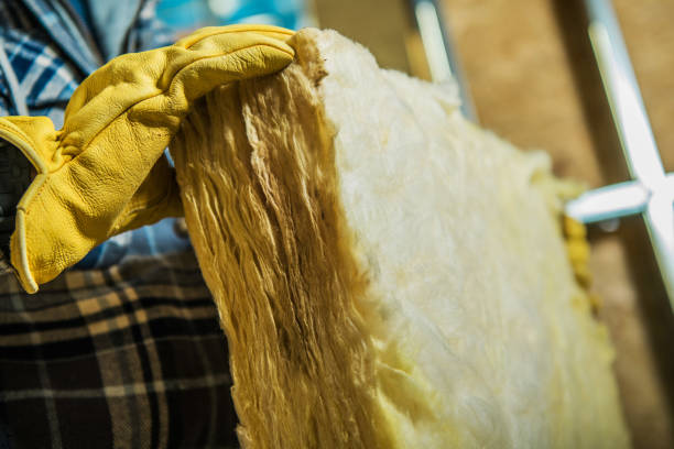Professional Insulation Contractor in La Homa, TX